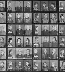 Wilhelm Brasse, el fotógrafo de Auschwitz que salvó decenas de miles de imágenes