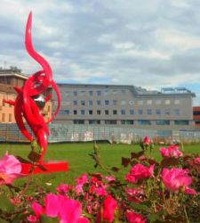 In Padua, Gianfranco Meggiato's widespread exhibition in dialogue with Giotto