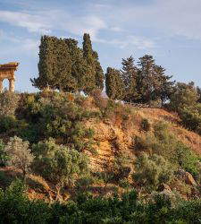 Agrigento, el Jardín de Kolymbethra será gestionado otros 25 años por la FAI