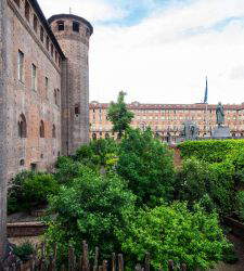 Torino tra giardini e parchi: a Palazzo Madama e in altri giardini un percorso nella botanica