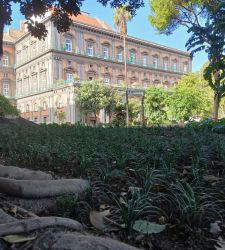 The Romantic Garden of the Royal Palace of Naples is reborn