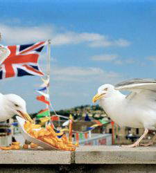 Llega al cine el documental sobre el fotógrafo contemporáneo Martin Parr