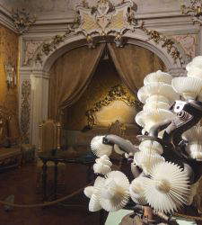 When debris blooms. Miyazaki transforms Imola into a garden suspended in time.