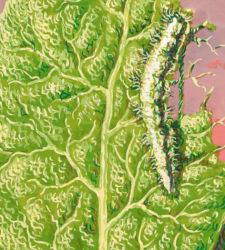 Au KMSKA d'Anvers, une exposition sur Magritte et le mouvement surréaliste en Belgique.