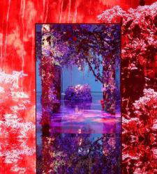 Anonymous art project debutta a Venezia con Kengo Kito e Mika Ninagawa