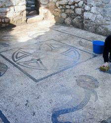 Turquía, mosaicos con cocodrilos y flamencos descubiertos en Heraclea al Latmo