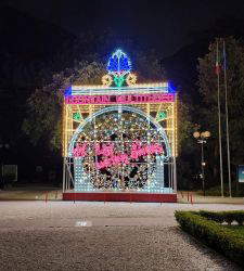 Grand Bazaar Pietrasanta: the exhibition of the summer is an IKEA of art