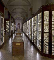 Il Palazzo dei Musei di Reggio Emilia, museo radicale. Tour nell'allestimento di Italo Rota