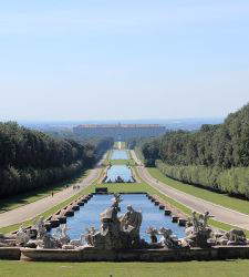 Royal Palace of Caserta, clash over felling of 750 holm oaks in the park
