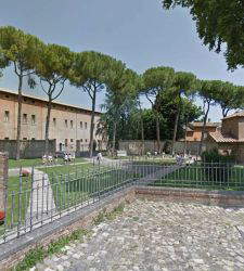 Alarm over pine trees at the Mausoleum of Galla Placidia in Ravenna, at risk of being felled