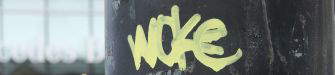 Woke Art: è arte sincera o è solo conformismo?