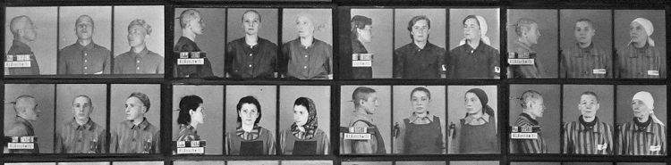 Wilhelm Brasse, le photographe d'Auschwitz qui a sauvé des dizaines de milliers d'images