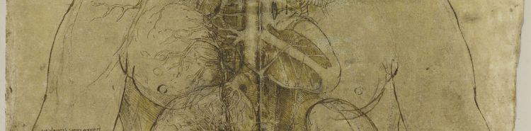 Als Künstler Leichen sezierten (und die Wissenschaft vorwegnahmen)