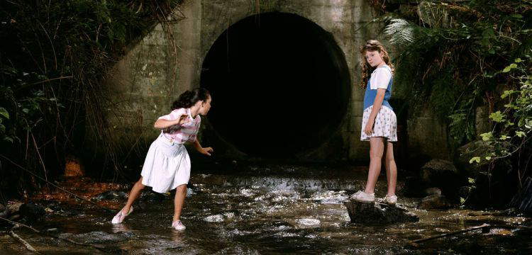 Jeff Wall et l'invention du r&eacute;el : quand la photographie devient th&eacute;&acirc;tre