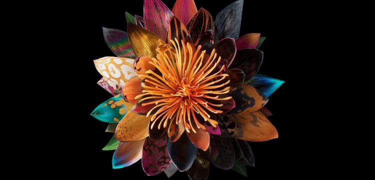 Mat Collishaw, fiori come affascinanti enigmi