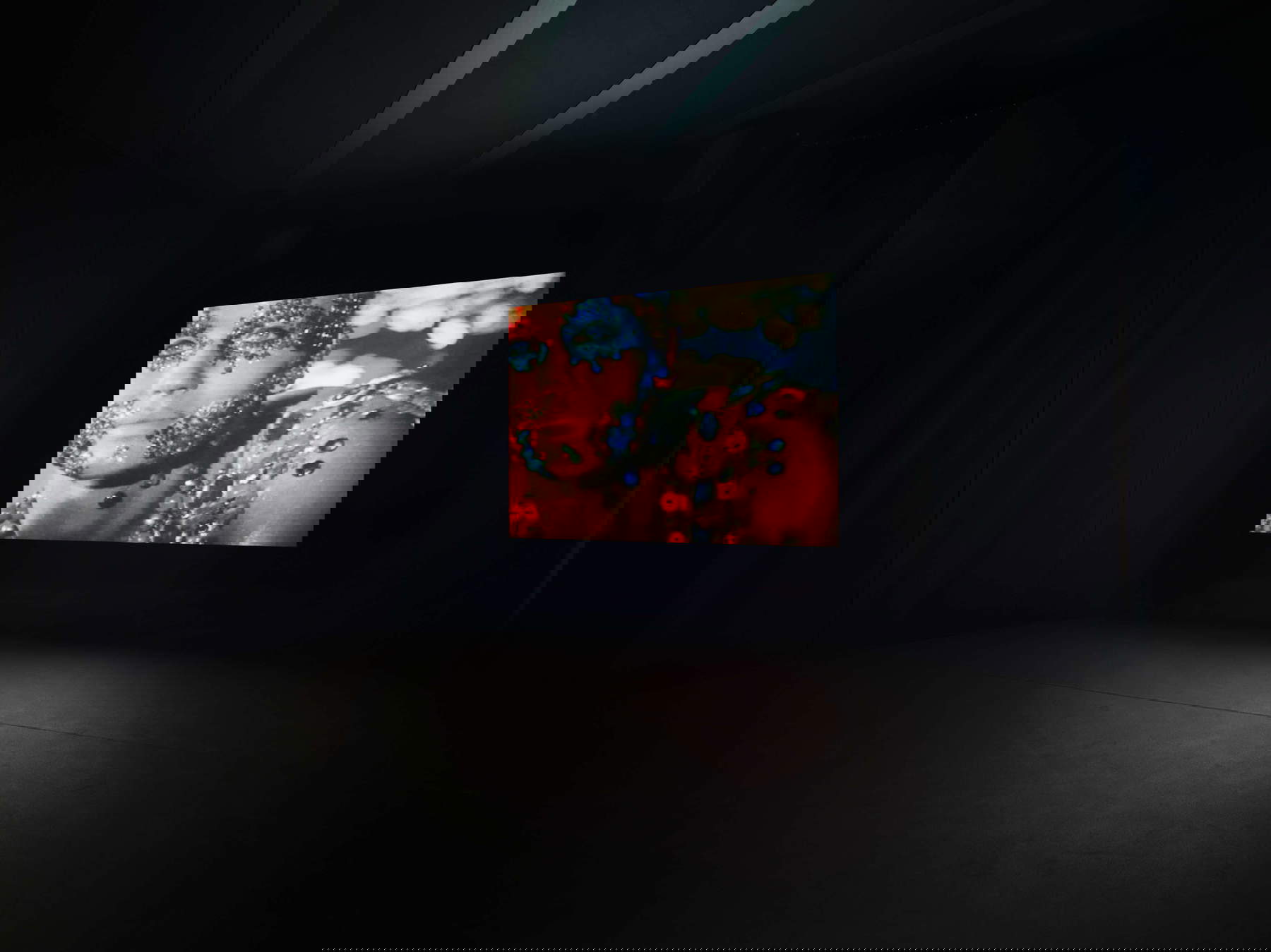 Nan Goldin, Sirens (2019-2020). Vue de l'installation, Pirelli HangarBicocca, Milan, 2025 &copy; Nan Goldin, avec l'aimable autorisation de l'artiste, de Gagosian et de Pirelli HangarBicocca, Milan. Photo : Agostino Osio