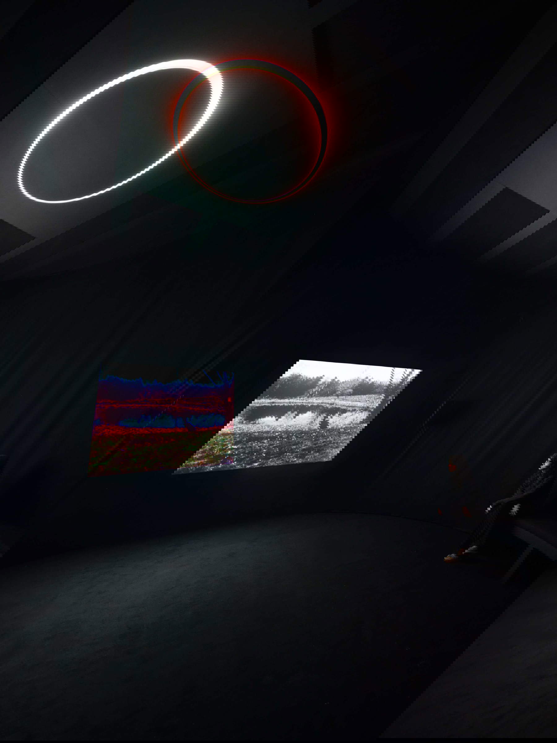 Nan Goldin, You Never Didthing Anything Wrong (2024). Vue de l'installation, Pirelli HangarBicocca, Milan, 2025 &copy; Nan Goldin, avec l'aimable autorisation de l'artiste, de Gagosian et de Pirelli HangarBicocca, Milan. Photo : Agostino Osio