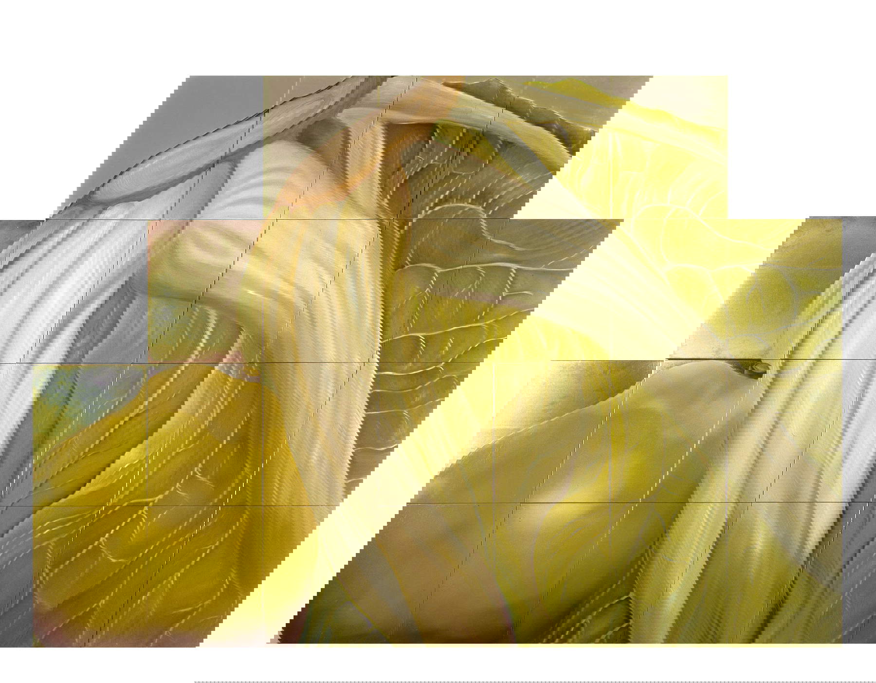 Guglielmo Aschieri, Sin título (1994; óleo sobre chapa, 47,5x39 cm)