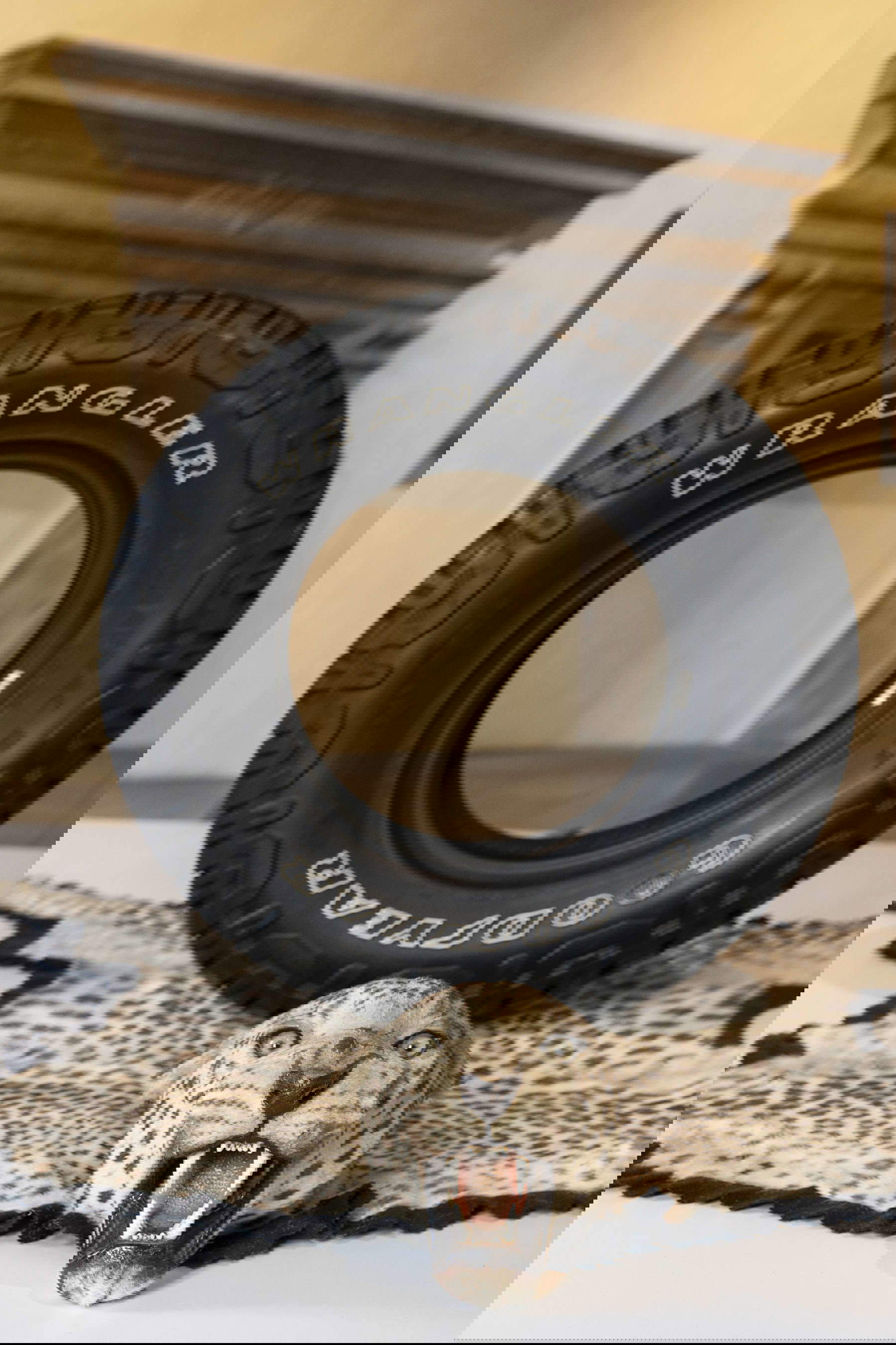 Paolo Canevari, God Year, Pinacoteca Citt&agrave; di Castello, 2025. Photo: Ilaria Lagioia and Pierpaolo Lo Giudice