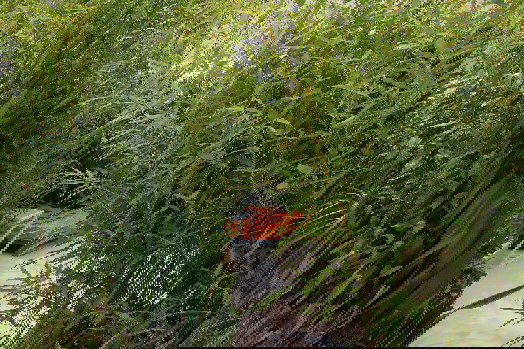 Ausstellungsaufbau 1+1. Relationale Kunst