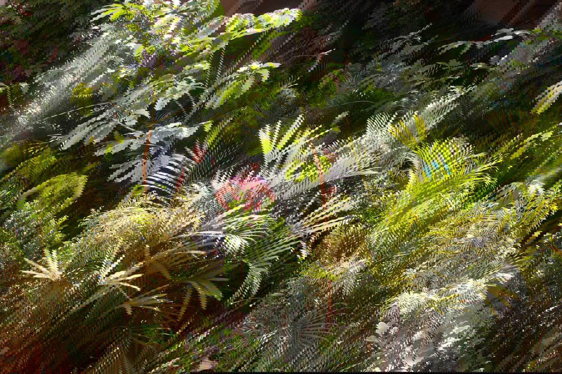 OPAVIVAR&Aacute;!, Namoita (2014). Mit Genehmigung der Künstler