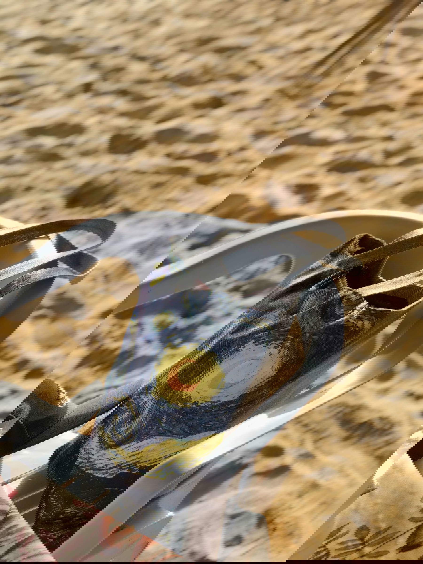 Bolsa con La noche estrellada de Van Gogh. Foto: Zayn Khalifa / Unsplash