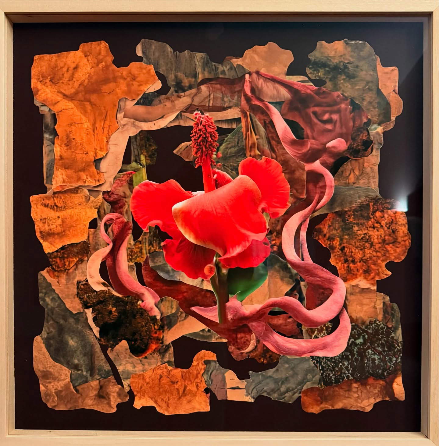 Debora Hirsch, PLANTA. Kokia cookei (2026; chorro de tinta sobre papel, marco de madera y cristal de museo, 50 x 50 cm, único). Presentada por: El Claustro. Precio: 5.200 euros