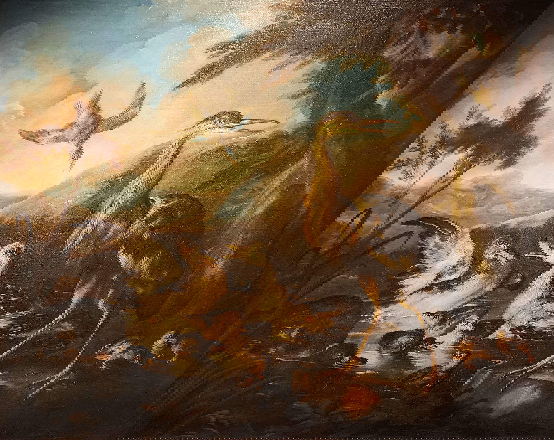 Giovanni Crivelli conocido como Crivellino, Peces y crustáceos sobre una roca y aves palustres en un estanque (óleo sobre lienzo, 117 x 146 cm). Precio: entre 25.000 y 35.000 euros la pareja