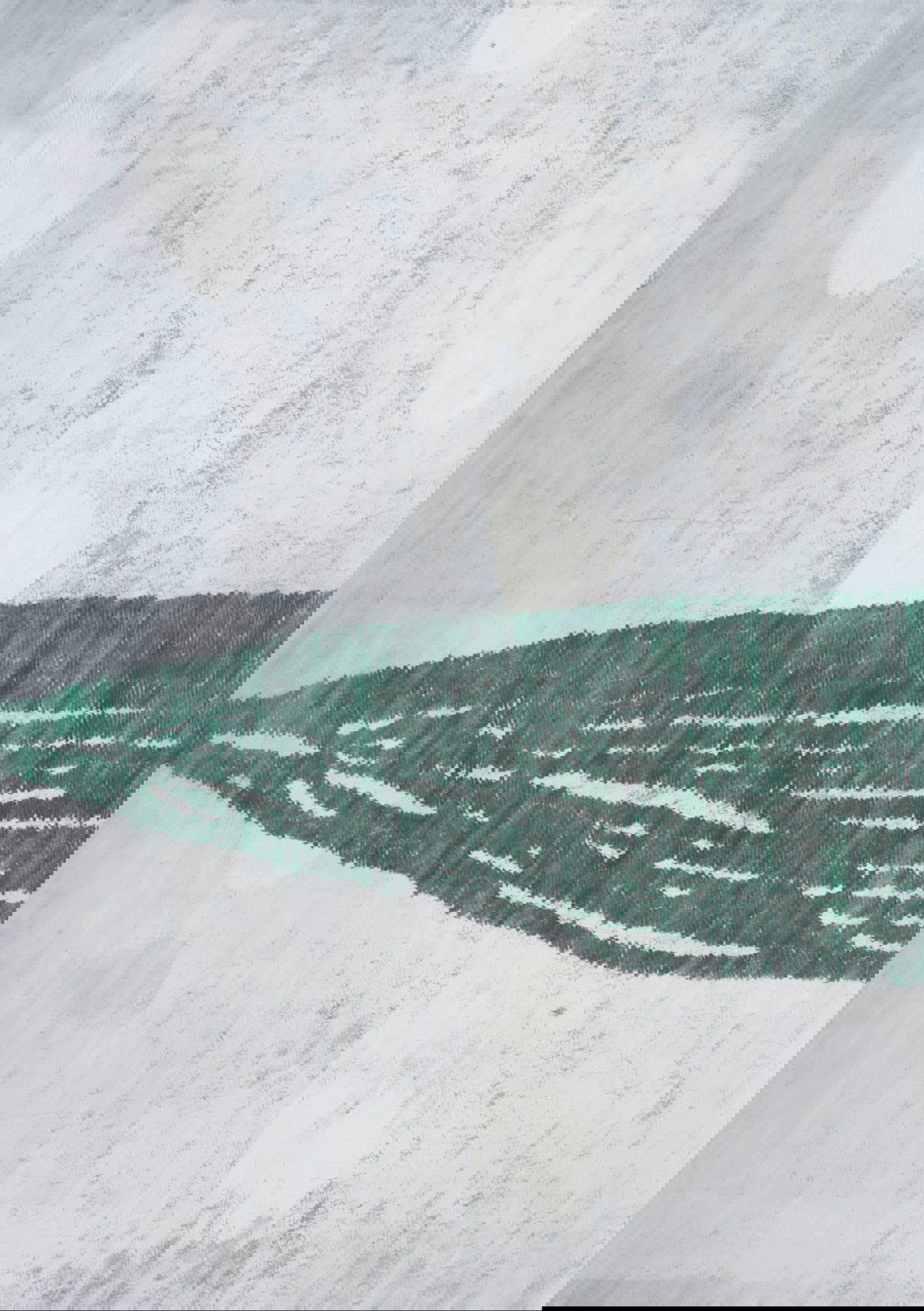 Lena M&uuml;ller, Fernblick #26 (2025; graphite, wax crayon, linopaint on cardboard, 148 x 210 mm)