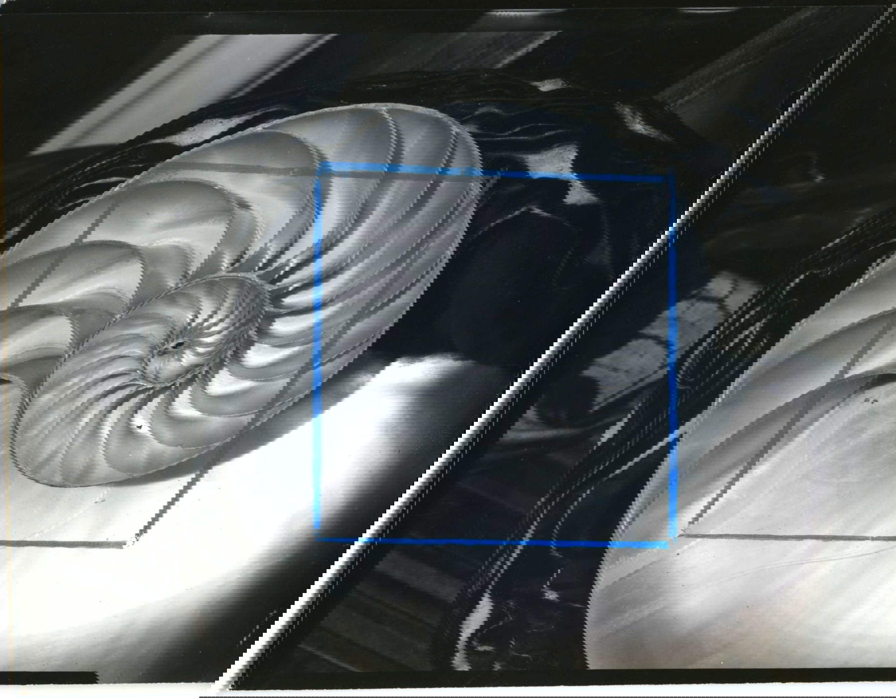 Horst P. Horst, Nautilus Pompileus II, 1945