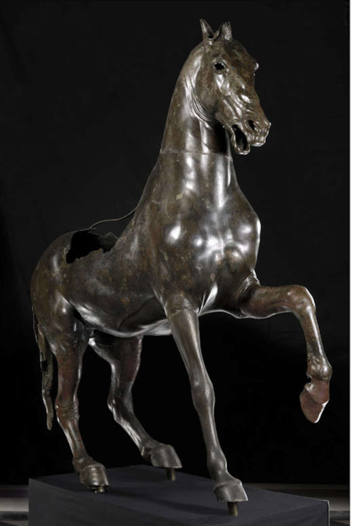 Bronzepferd (5. Jahrhundert v. Chr.; Bronze; Rom, Kapitolinische Museen)