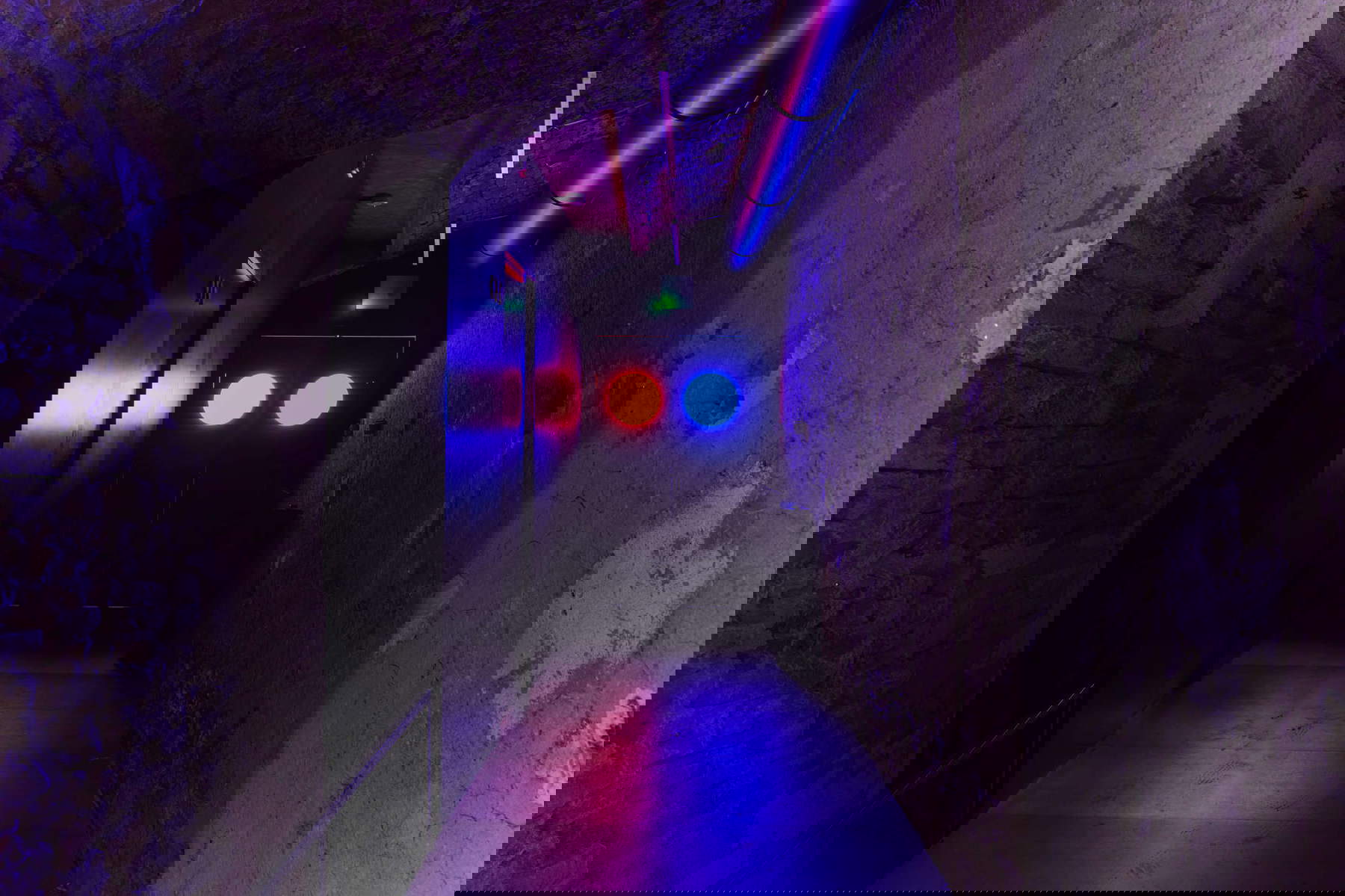 Allestimenti della mostra CC di Michael E. Smith, Palazzo Bentivoglio, Bologna. Foto: Carlo Favero