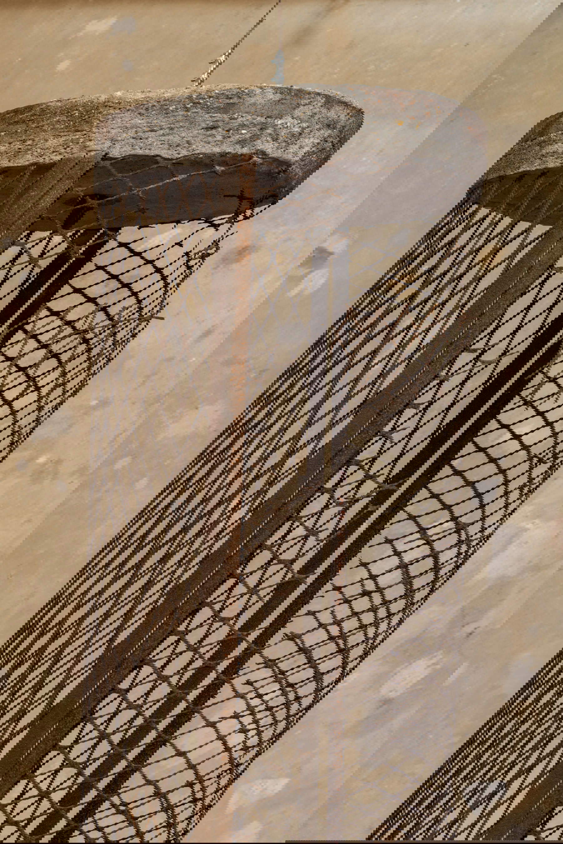 Berlinde De Bruyckere, Kooi (1989; acero, hormigón, 130 x 30 x 45 cm). Con permiso del artista y GALLERIA CONTINUA, Foto: Ela Bialkowska, OKNO Studio