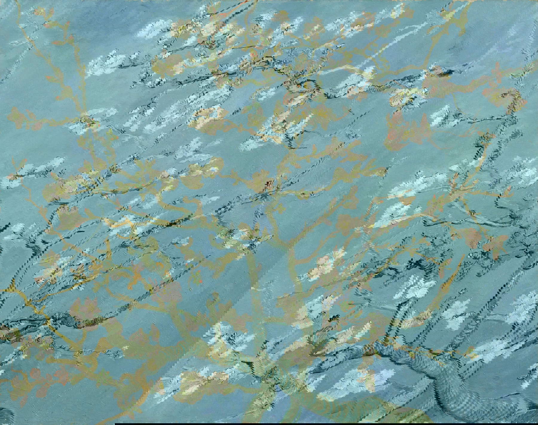 Vincent van Gogh, Blühender Mandelbaumzweig (1890; Öl auf Leinwand, 73,5 x 92 cm; Amsterdam, Van Gogh Museum)