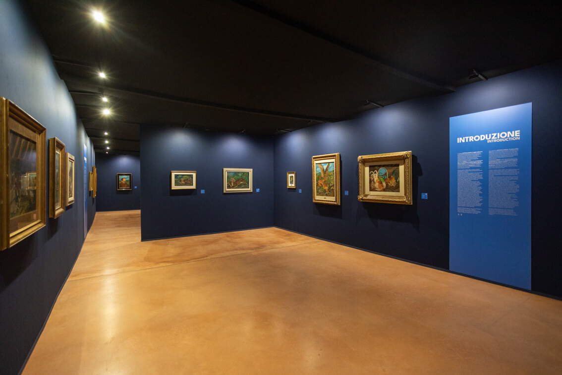 Allestimenti della mostra