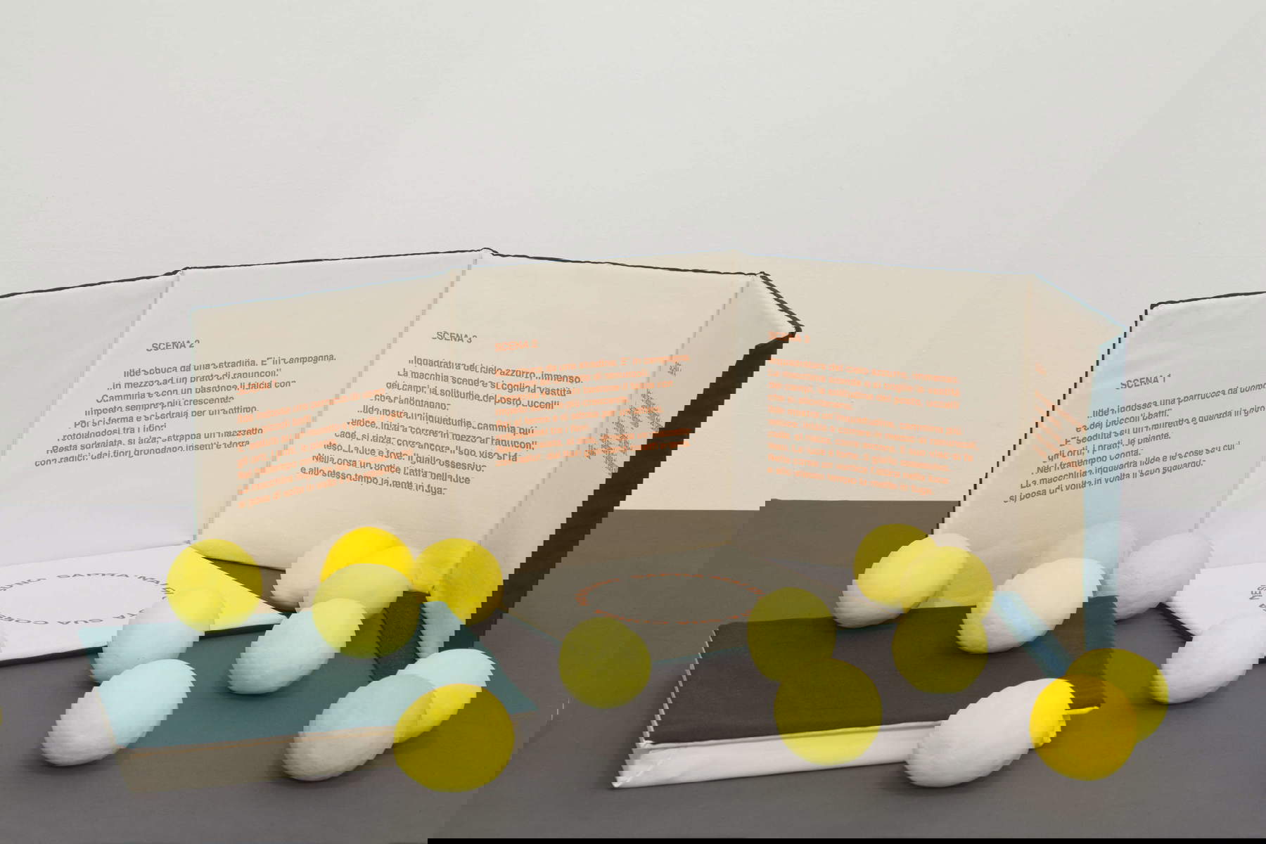 Manuela Cirino, I Ranuncoli (2012 ; tissu, impression UV, bois, plâtre céramique, 33 x 33 x 33 cm). Photo : Roberto Marossi