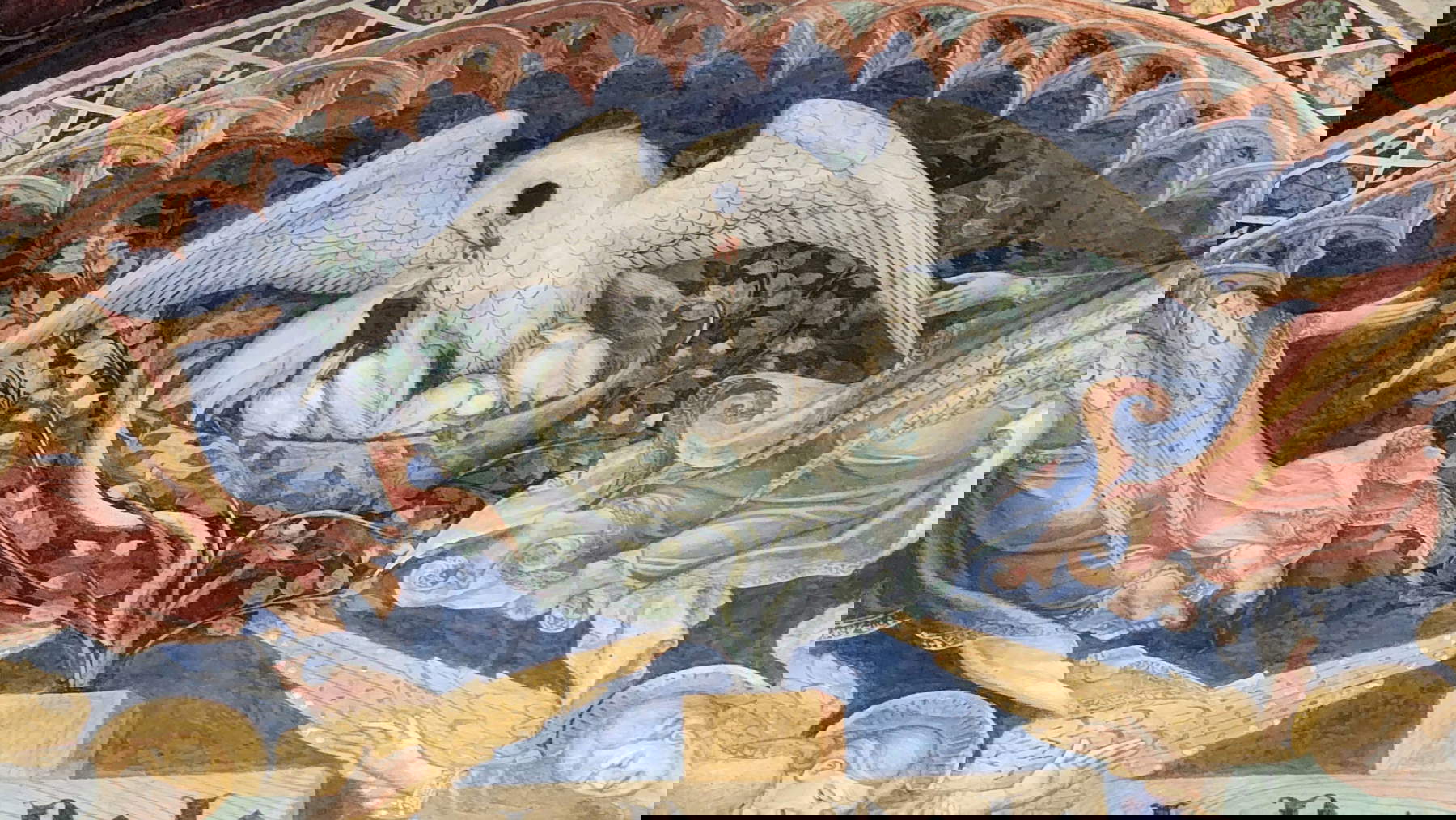 Gli affreschi di Lorenzo e Jacopo Salimbeni nell'Oratorio di San Giovanni Battista a Urbino. Foto: Federico Giannini