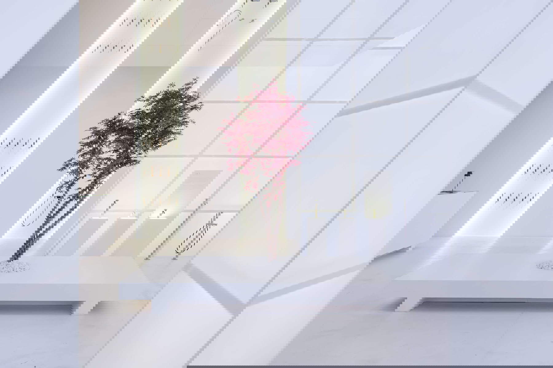 Internationale Badausstellung 2024. Foto: Ruggiero Scardigno