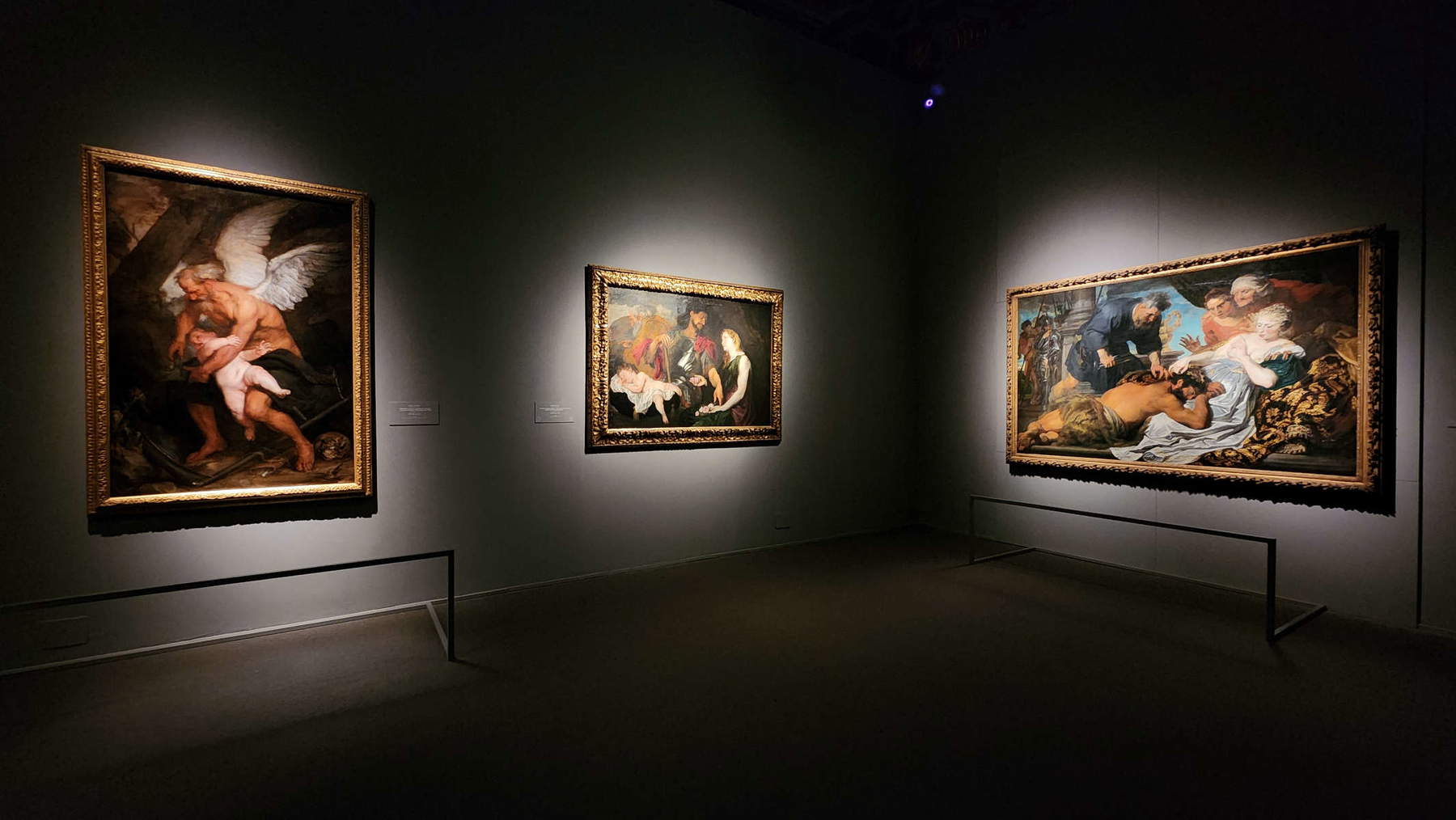 Allestimenti della mostra Van Dyck l'europeo. Foto: Federico Giannini