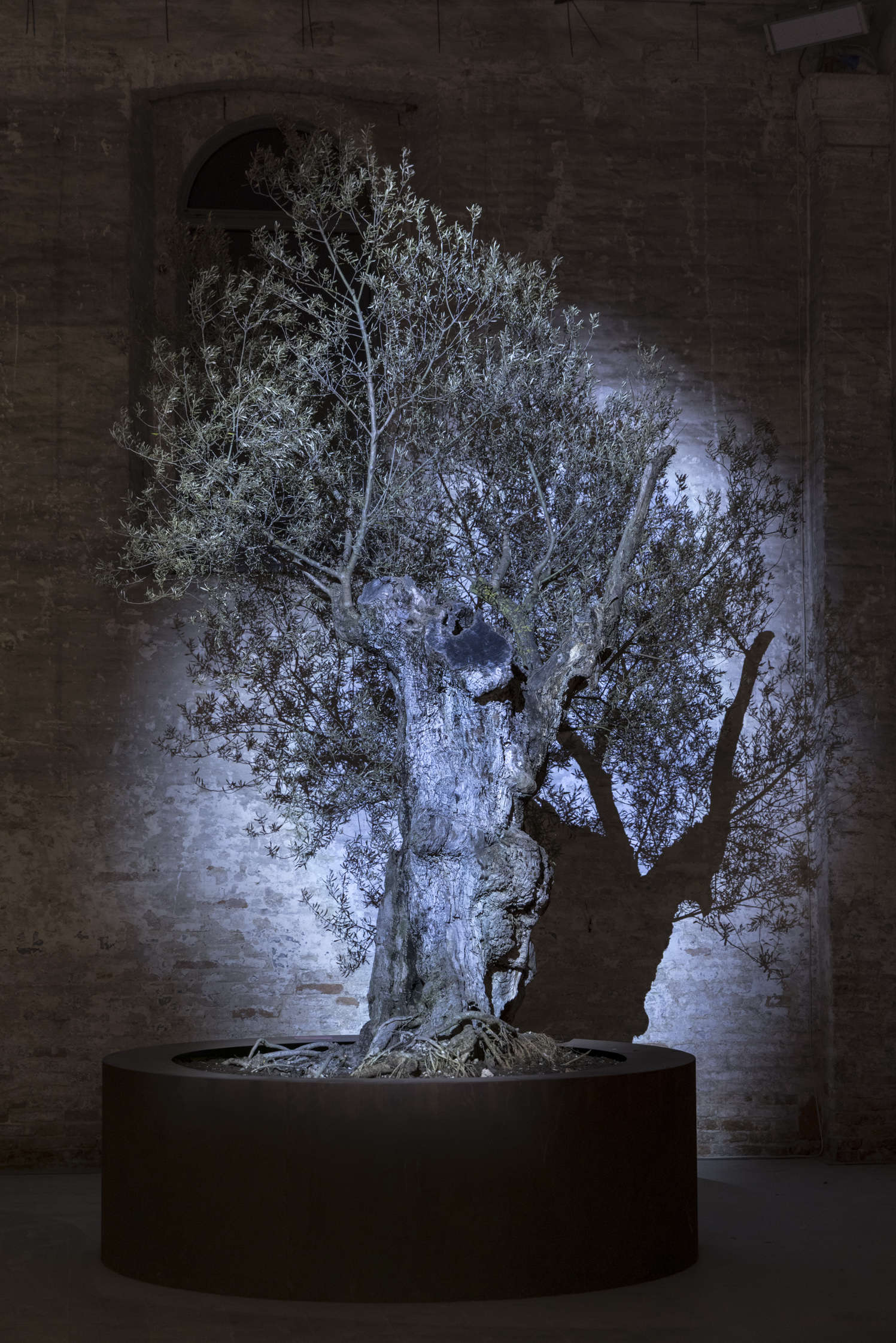 Biennale de Venise 2026, exposition internationale In minor keys, organisée par Koyo Kouoh. Installation. Photo : Marco Zorzanello