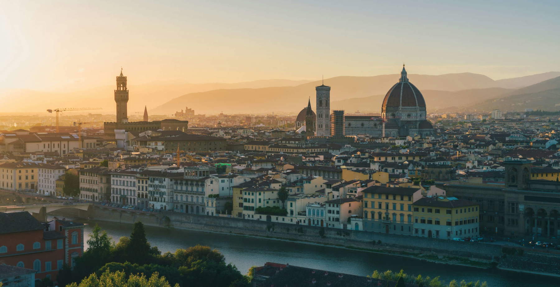 Florence. Photo: Daniel Sessler