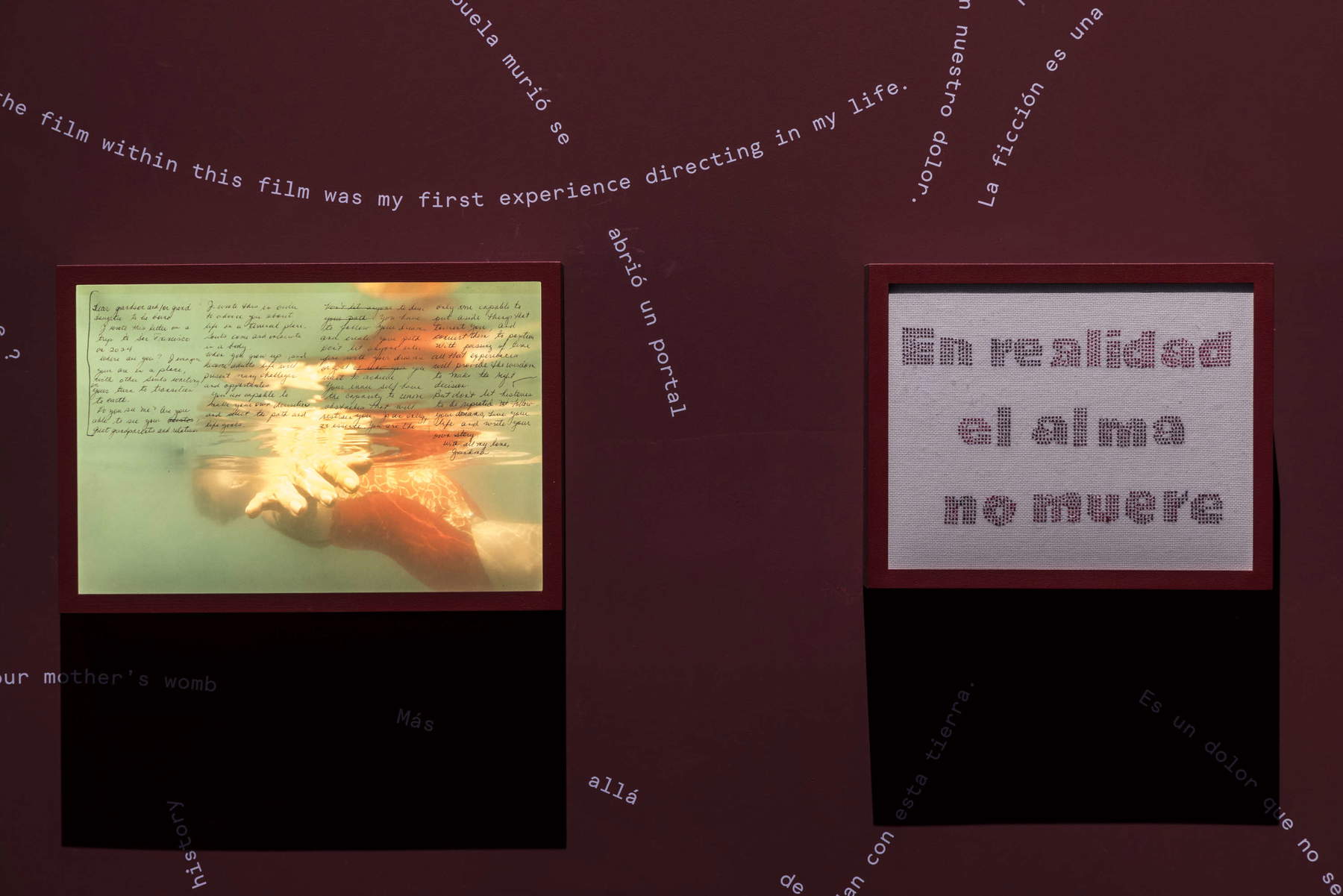 Natalia Lassalle-Morillo (en colaboración con Gloria Morillo), Anotaciones y revisitaciones (2026; impresión UV sobre plexiglás transparente FF3, caja de luz, 30,48 &times; 45,72 cm). Foto: Marco Zorzanello