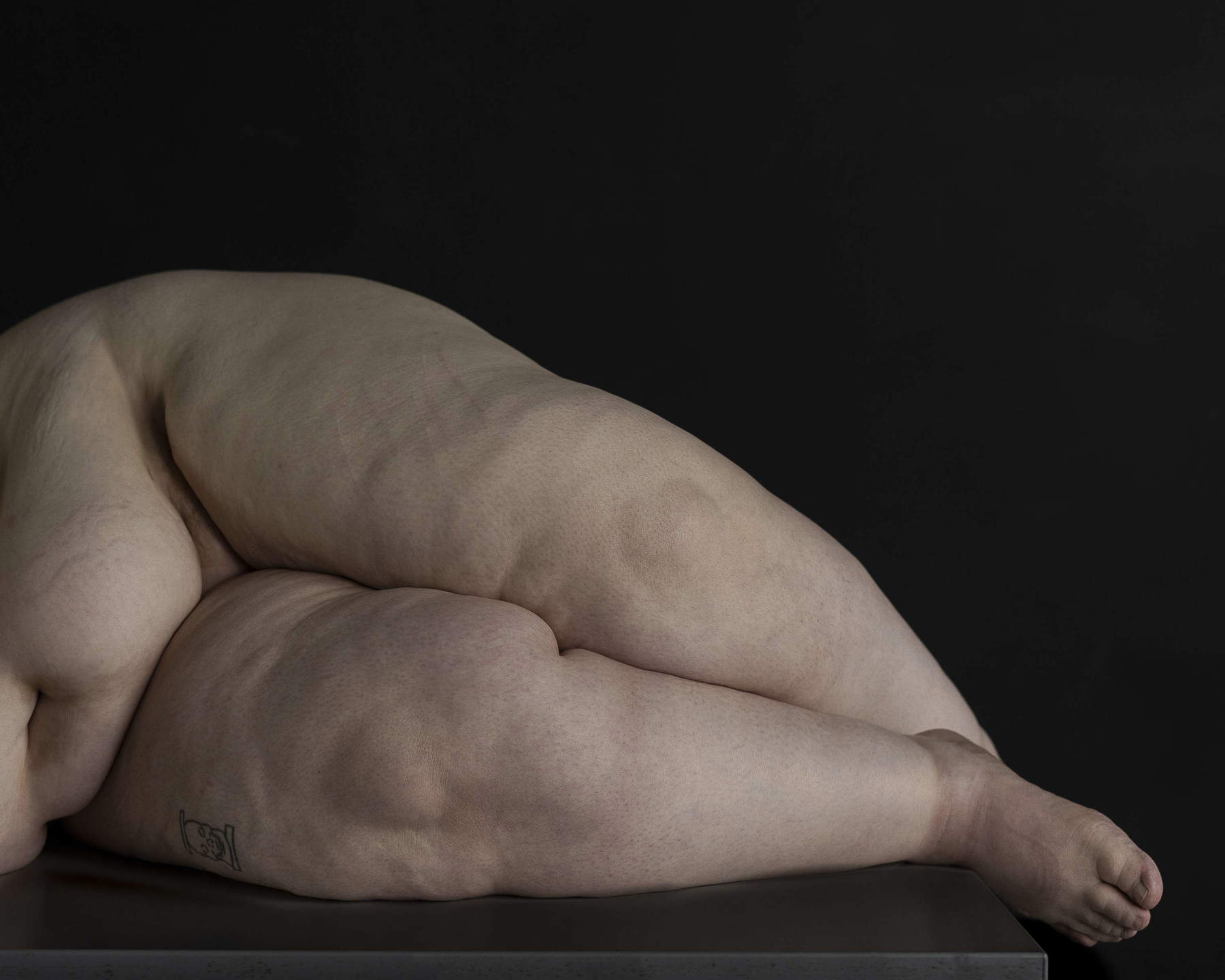 Laurent Poma, Corps modernes, Elsa