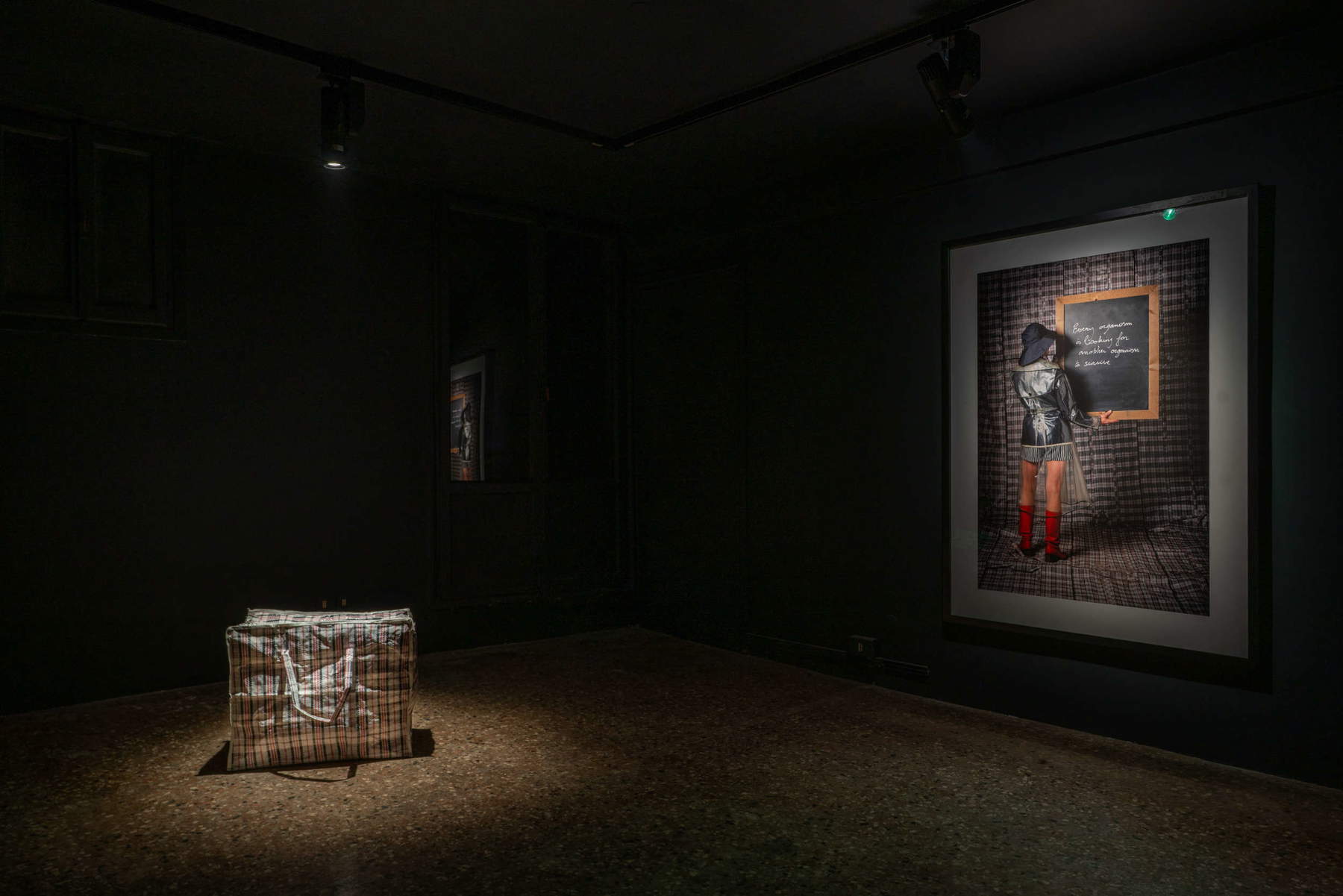 Allestimenti della mostra We thought we were alone di Koen Vanmechelen. Foto: Francesco Allegretto