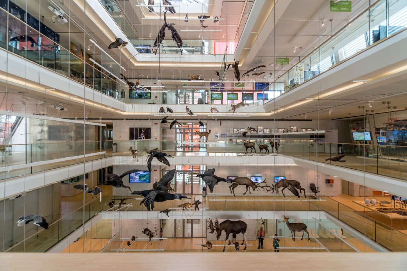 Trienter Museen