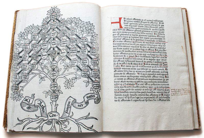 Johannes Andreae, Super arboribus consanguinitatis, affinitatis et cognationis spiritualis
