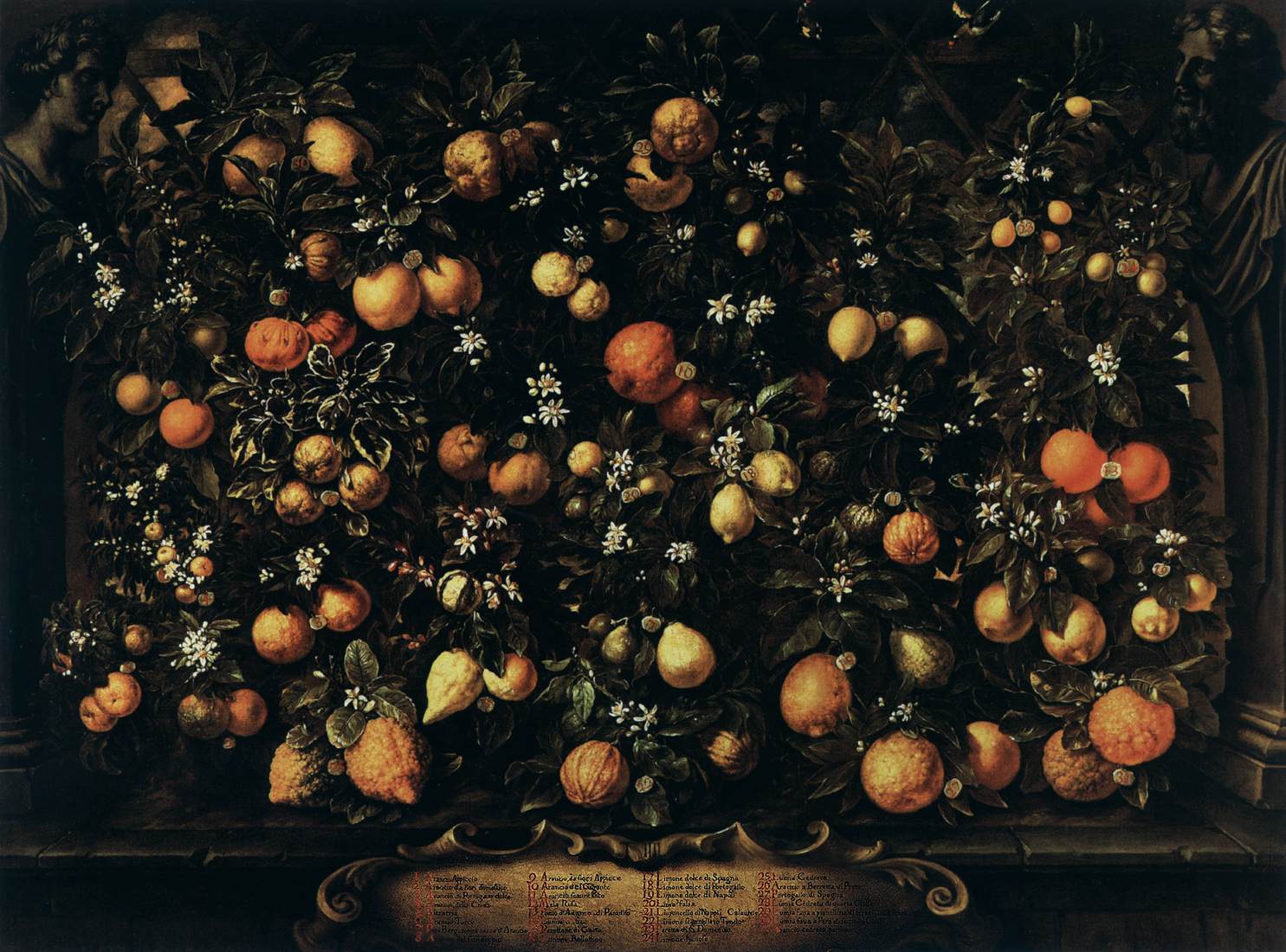 Bartolomeo Bimbi, Melangoli, limoni e limette (1715; Olio su tela, 174 x 233 cm; Poggio a Caiano, Villa Medicea, Museo della Natura Morta)