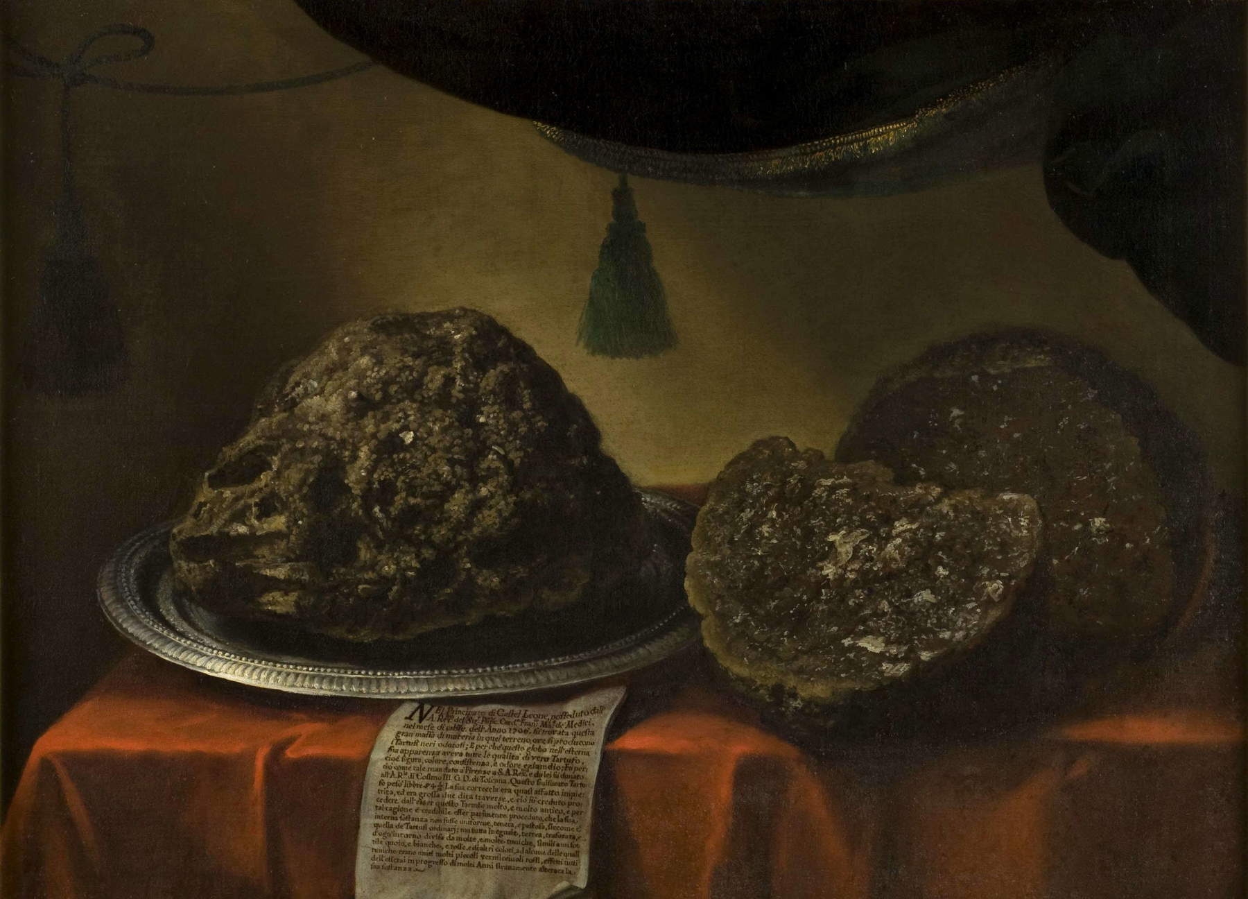 Bartolomeo Bimbi, Tartufo di Castel Leone (1706; olio su tela, 89 x 121,5 cm; Firenze, Museo di Storia Naturale, Sezione Botanica, inv. collezioni 1930, n. 348)