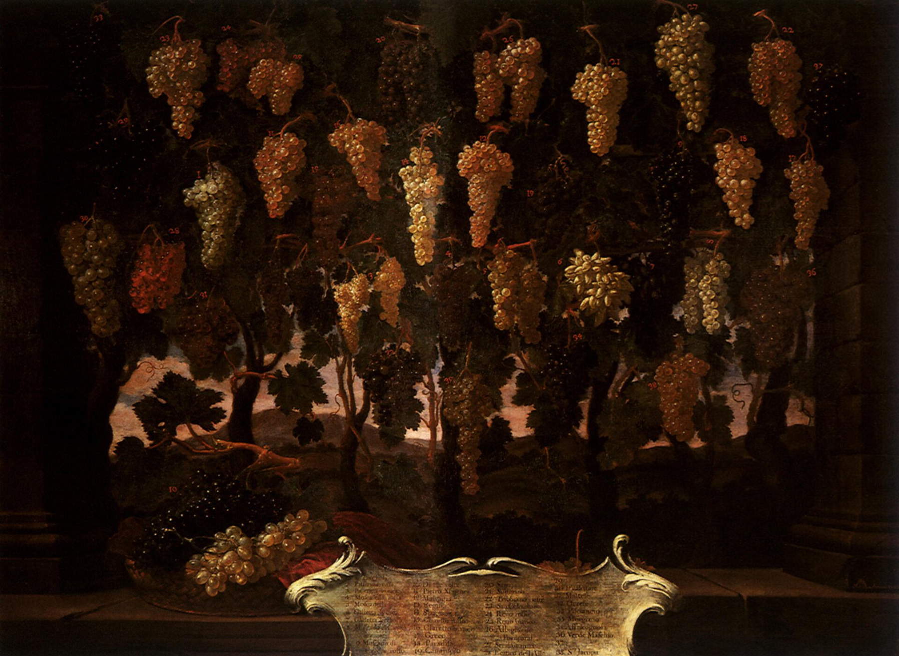 Bartolomeo Bimbi, Uve (olio su tela; Poggio a Caiano, Villa Medicea, Museo della Natura Morta)