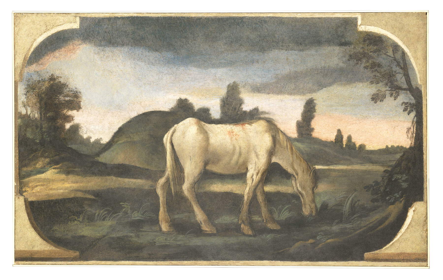 Guercino, Pitture murali di Casa Pannini, Paesaggio con cavallo bianco detto &ldquo;La rozza&rdquo; (1615-1617 circa; affresco riportato su tela, 79 &times; 132 cm; Cento, Pinacoteca Civica) &copy; Comune di Cento, su gentile concessione